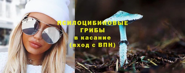 ECSTASY Касимов