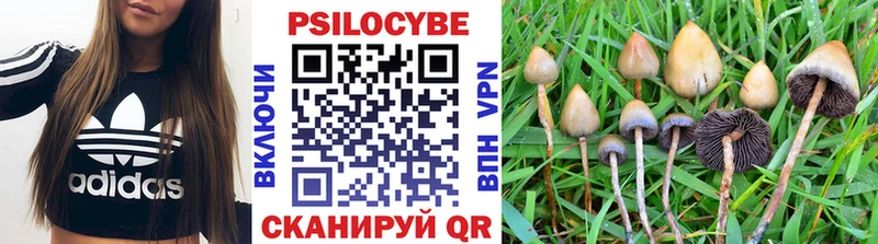 Псилоцибиновые грибы мицелий  Купить где  Балашов 